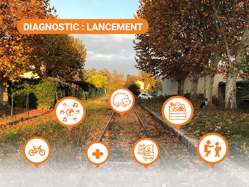 Projet LNCDSA : lancement du diagnostic